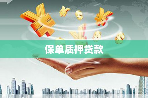 南充保单质押贷款