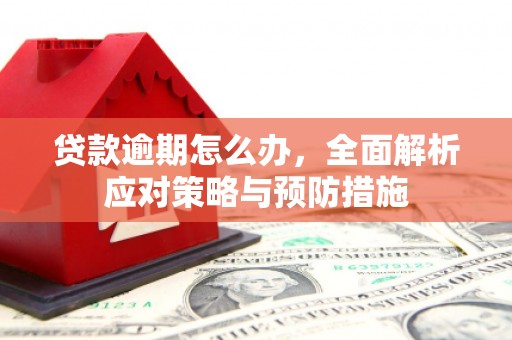 南充贷款逾期怎么办，全面解析应对策略与预防措施