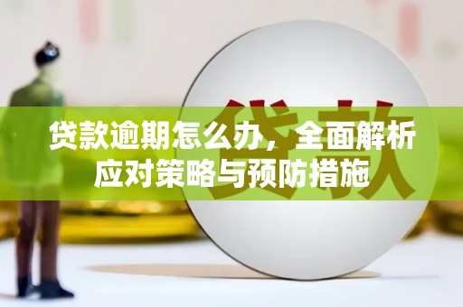 南充贷款逾期怎么办，全面解析应对策略与预防措施