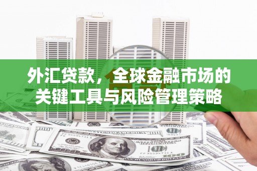 南充外汇贷款，全球金融市场的关键工具与风险管理策略