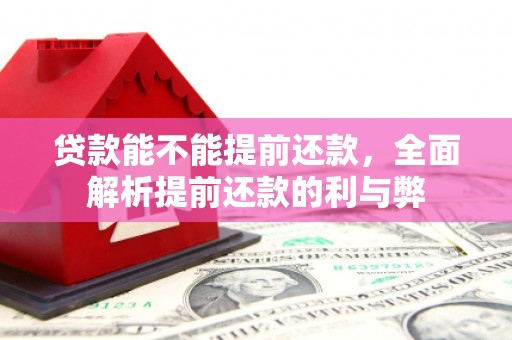 南充贷款能不能提前还款，全面解析提前还款的利与弊