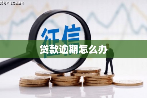 南充贷款逾期怎么办