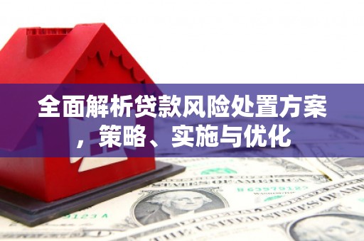 南充全面解析贷款风险处置方案，策略、实施与优化