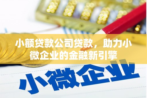 南充小额贷款公司贷款，助力小微企业的金融新引擎