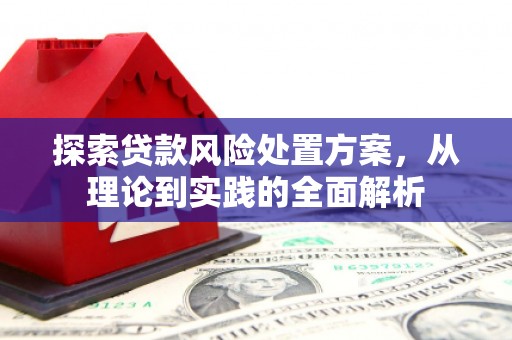 南充探索贷款风险处置方案，从理论到实践的全面解析