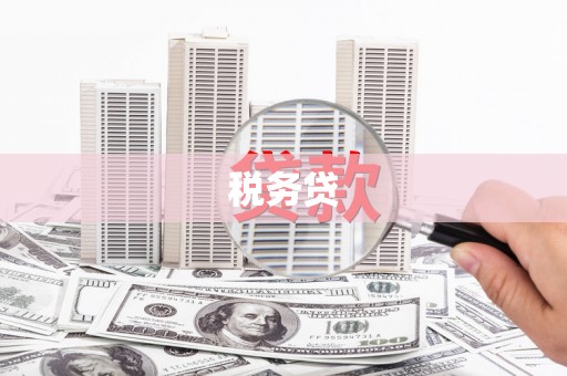 南充税务贷