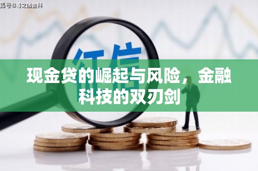 南充现金贷的崛起与风险，金融科技的双刃剑
