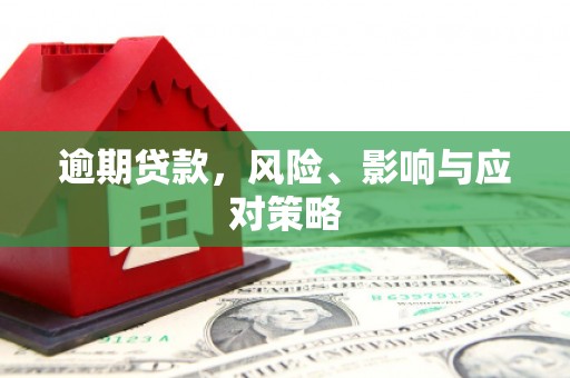 南充逾期贷款，风险、影响与应对策略