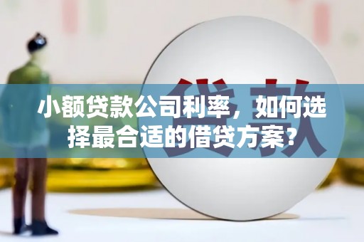 南充小额贷款公司利率，如何选择最合适的借贷方案？