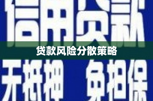 南充贷款风险分散策略