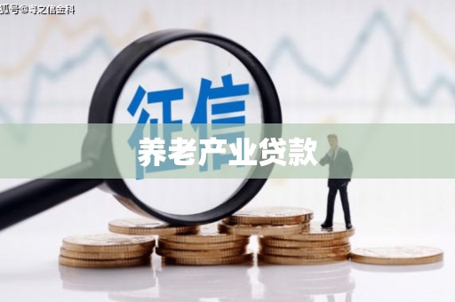 南充养老产业贷款