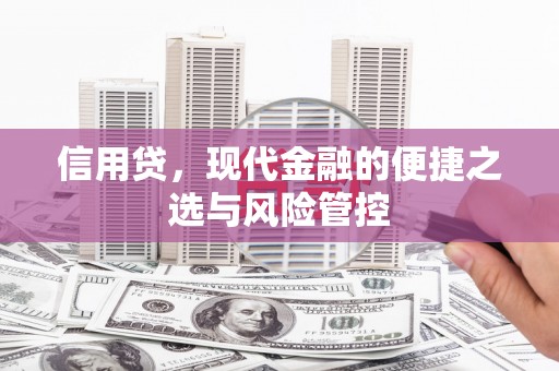 南充信用贷，现代金融的便捷之选与风险管控