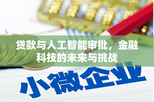 南充贷款与人工智能审批，金融科技的未来与挑战
