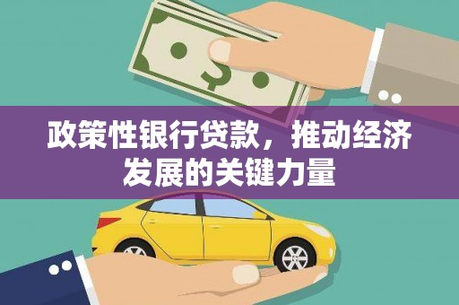 南充政策性银行贷款，推动经济发展的关键力量