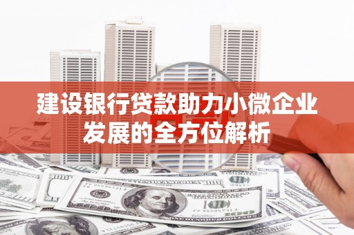 南充建设银行贷款助力小微企业发展的全方位解析