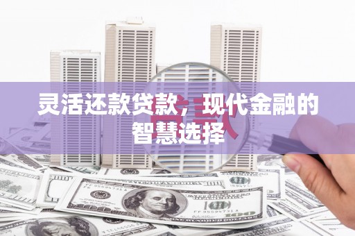 南充灵活还款贷款，现代金融的智慧选择