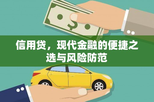 南充信用贷，现代金融的便捷之选与风险防范