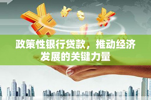 南充政策性银行贷款，推动经济发展的关键力量
