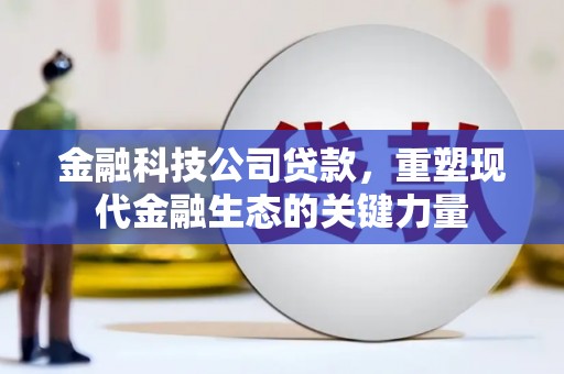 南充金融科技公司贷款，重塑现代金融生态的关键力量