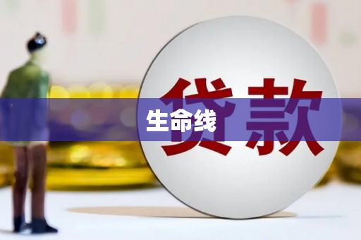 南充生命线