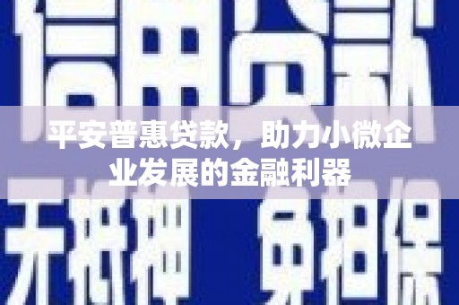 南充平安普惠贷款，助力小微企业发展的金融利器