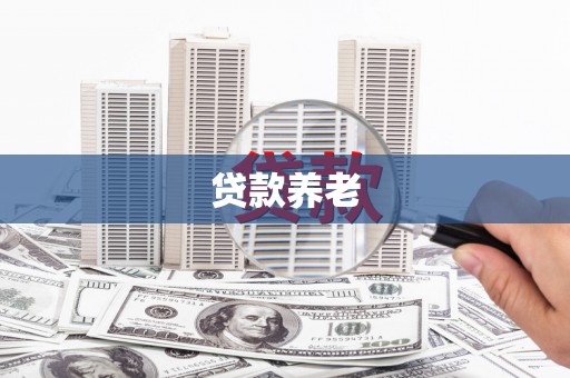 南充贷款养老