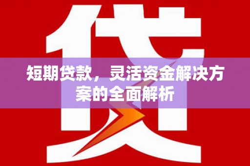 南充短期贷款，灵活资金解决方案的全面解析