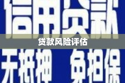 南充贷款风险评估