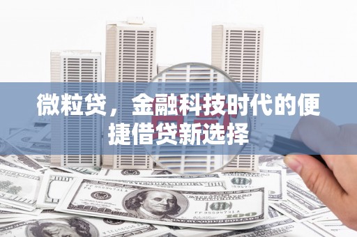 南充微粒贷，金融科技时代的便捷借贷新选择