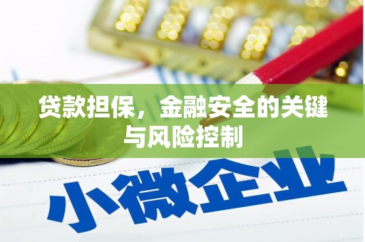 南充贷款担保，金融安全的关键与风险控制