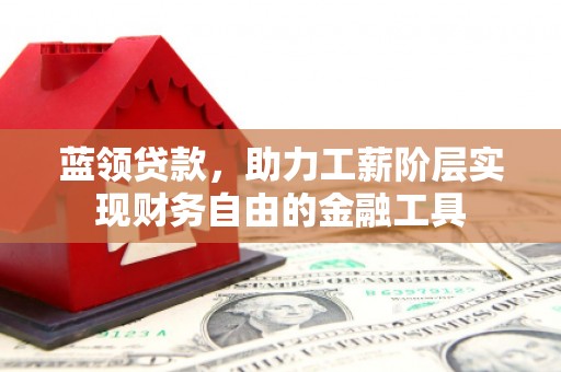 南充蓝领贷款，助力工薪阶层实现财务自由的金融工具