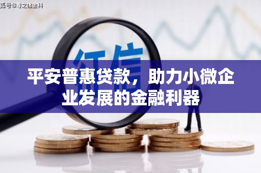 南充平安普惠贷款，助力小微企业发展的金融利器