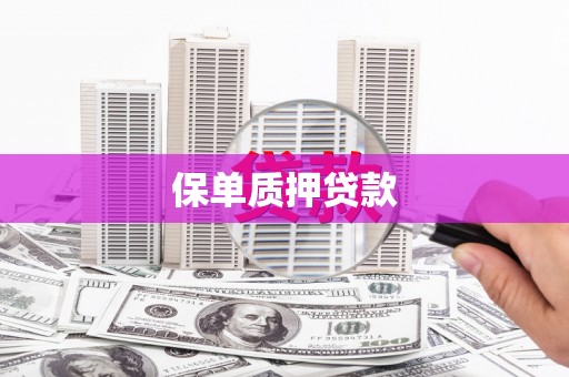 南充保单质押贷款