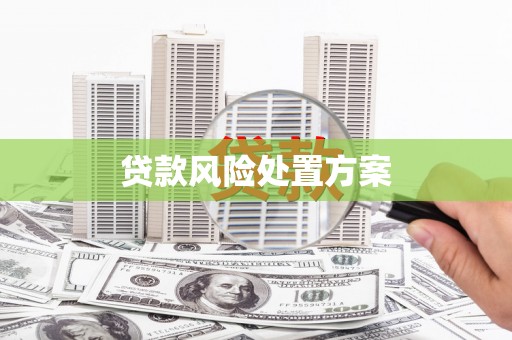 南充贷款风险处置方案