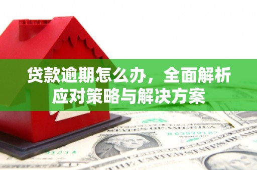 南充贷款逾期怎么办，全面解析应对策略与解决方案