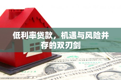 南充低利率贷款，机遇与风险并存的双刃剑