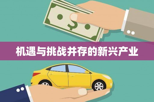 南充机遇与挑战并存的新兴产业