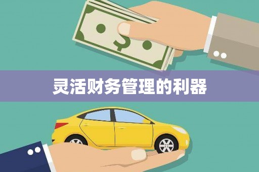南充灵活财务管理的利器