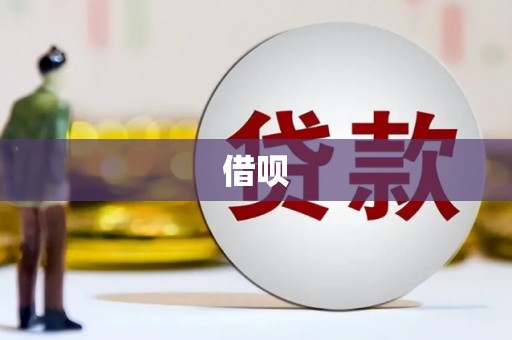南充借呗