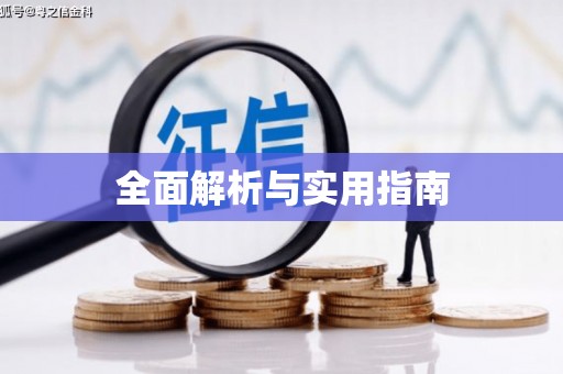 南充全面解析与实用指南