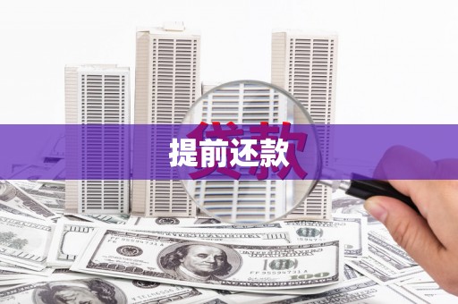 南充提前还款