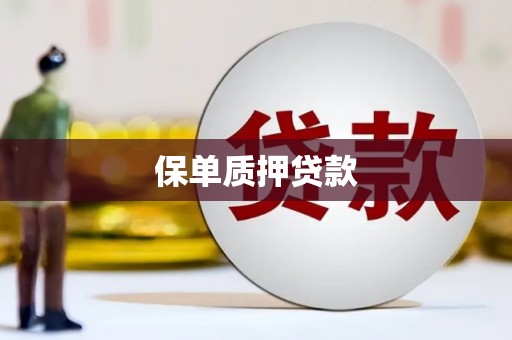 南充保单质押贷款