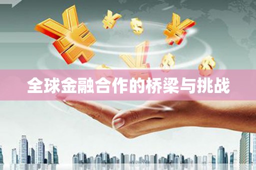 南充全球金融合作的桥梁与挑战