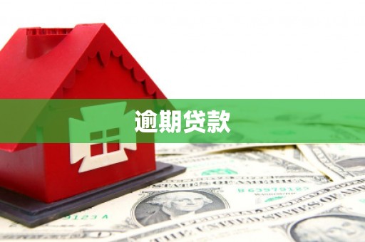南充逾期贷款