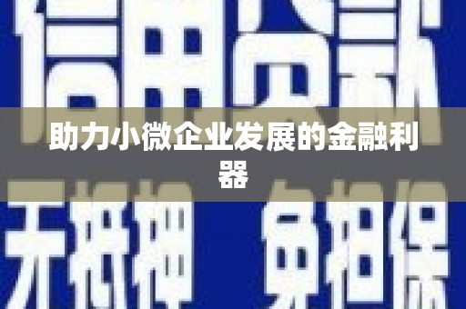南充助力小微企业发展的金融利器