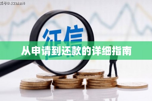 南充从申请到还款的详细指南