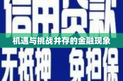 南充机遇与挑战并存的金融现象