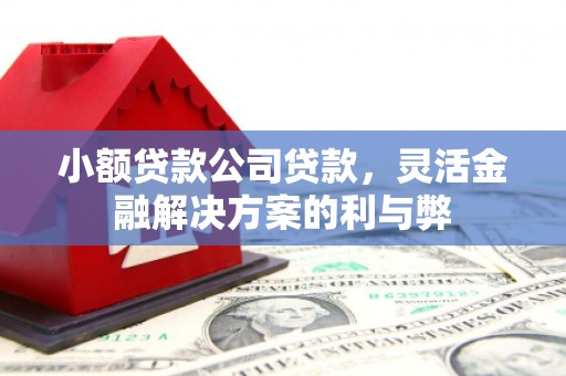 南充小额贷款公司贷款，灵活金融解决方案的利与弊