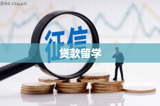 南充贷款留学